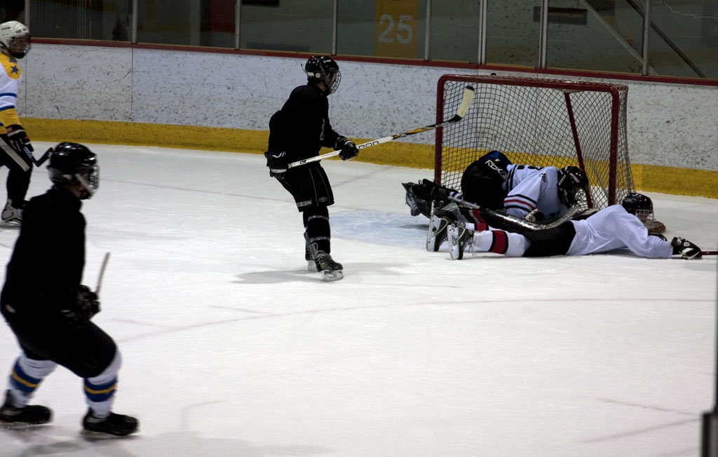 dgt_hockey (3)